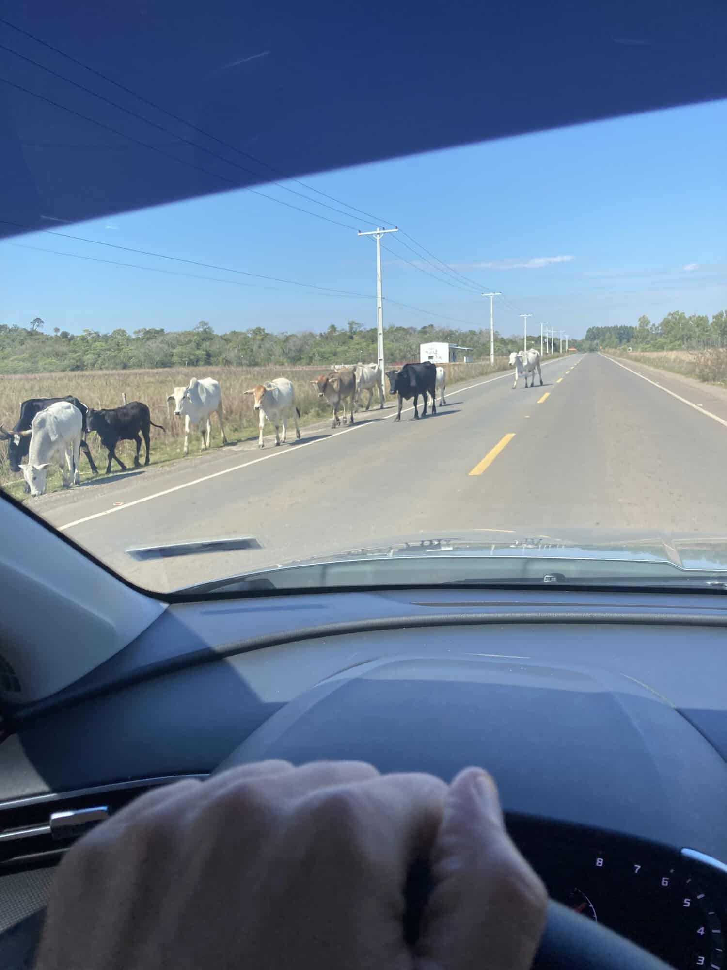 So psom za ďalším dobrodružstvom: autom z Asunción do Encarnación