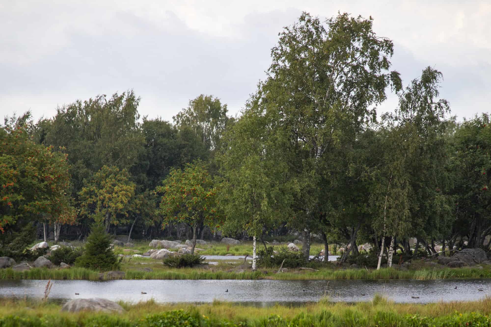 Bodvattnet Nature Trail