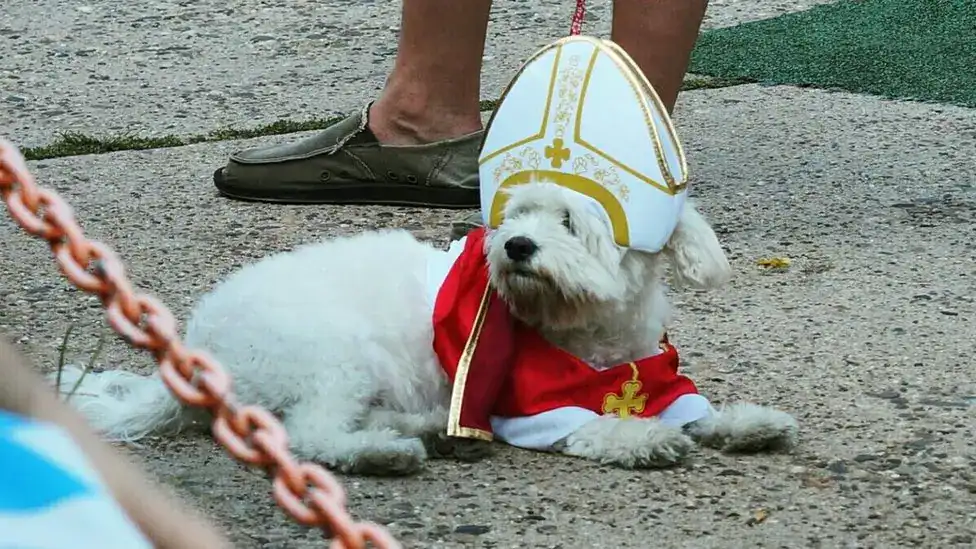Vatikán so psom: kam môžete a kam nie
