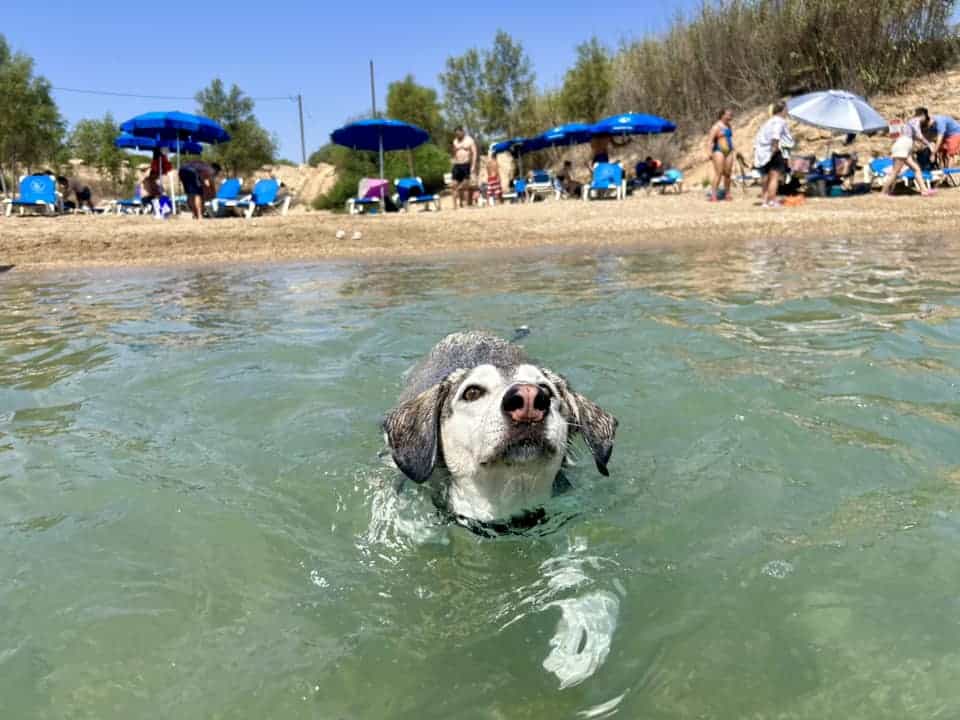 So psom na Cyprus: dva vstupné režimy a zelená línia