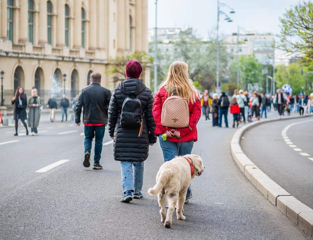 So psom do Rumunska: podmienky vstupu a návrat domov