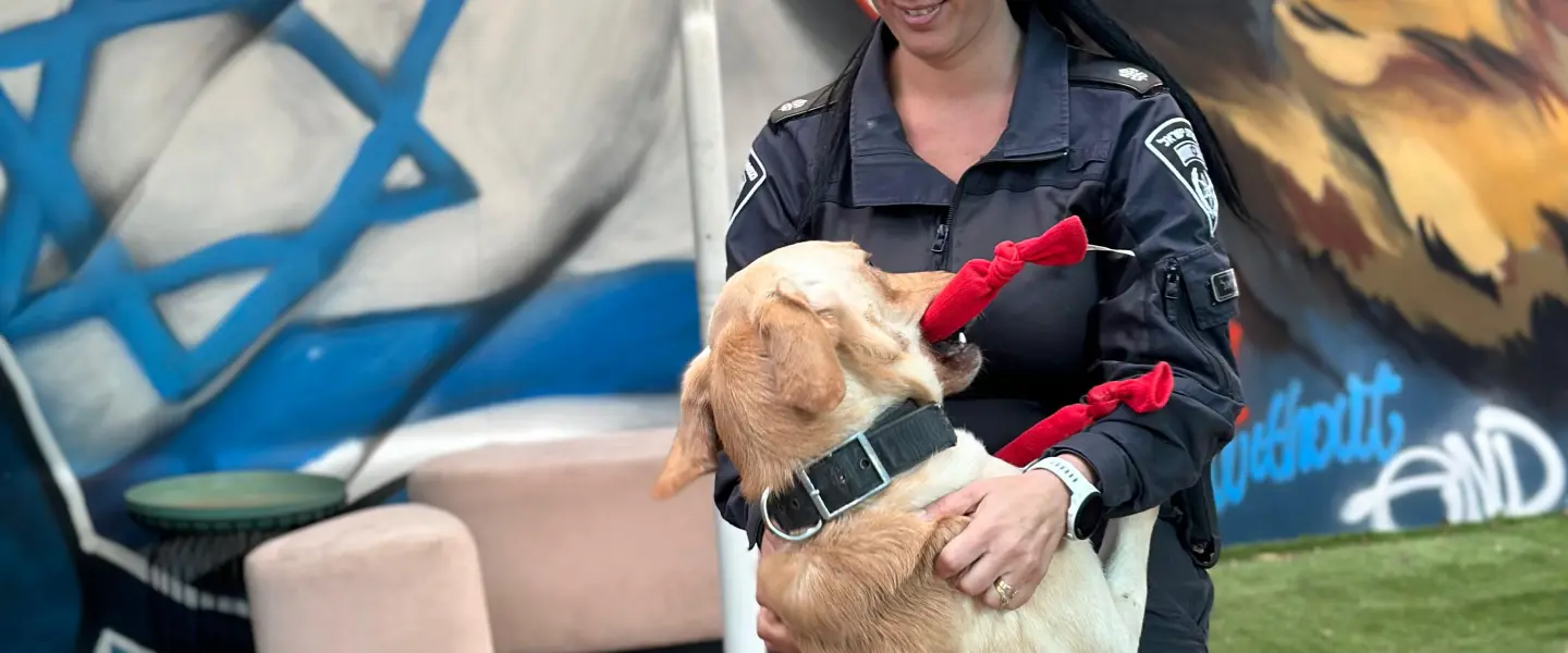 Cestovanie so psom do Izraela: podmienky vstupu a návrat domov